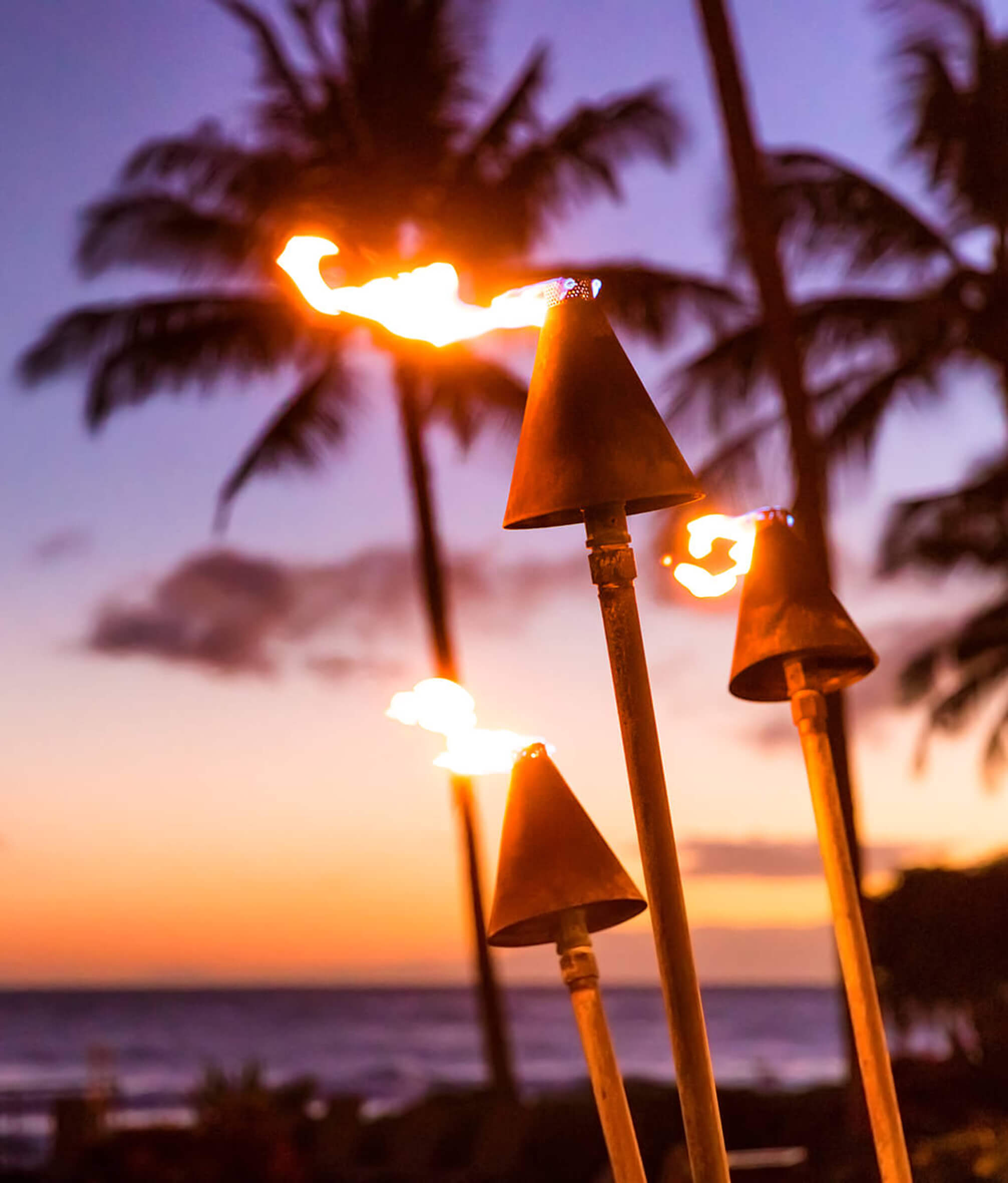 Hawaii Tiki Torch